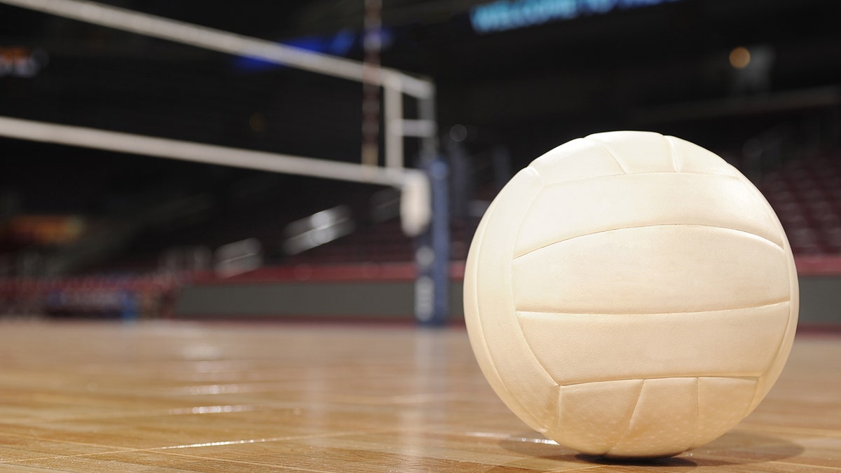 Volleyball on wood floor