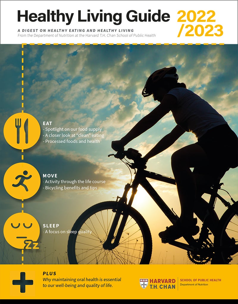 Cover image of the Healthy Living Guide downloadable PDF 