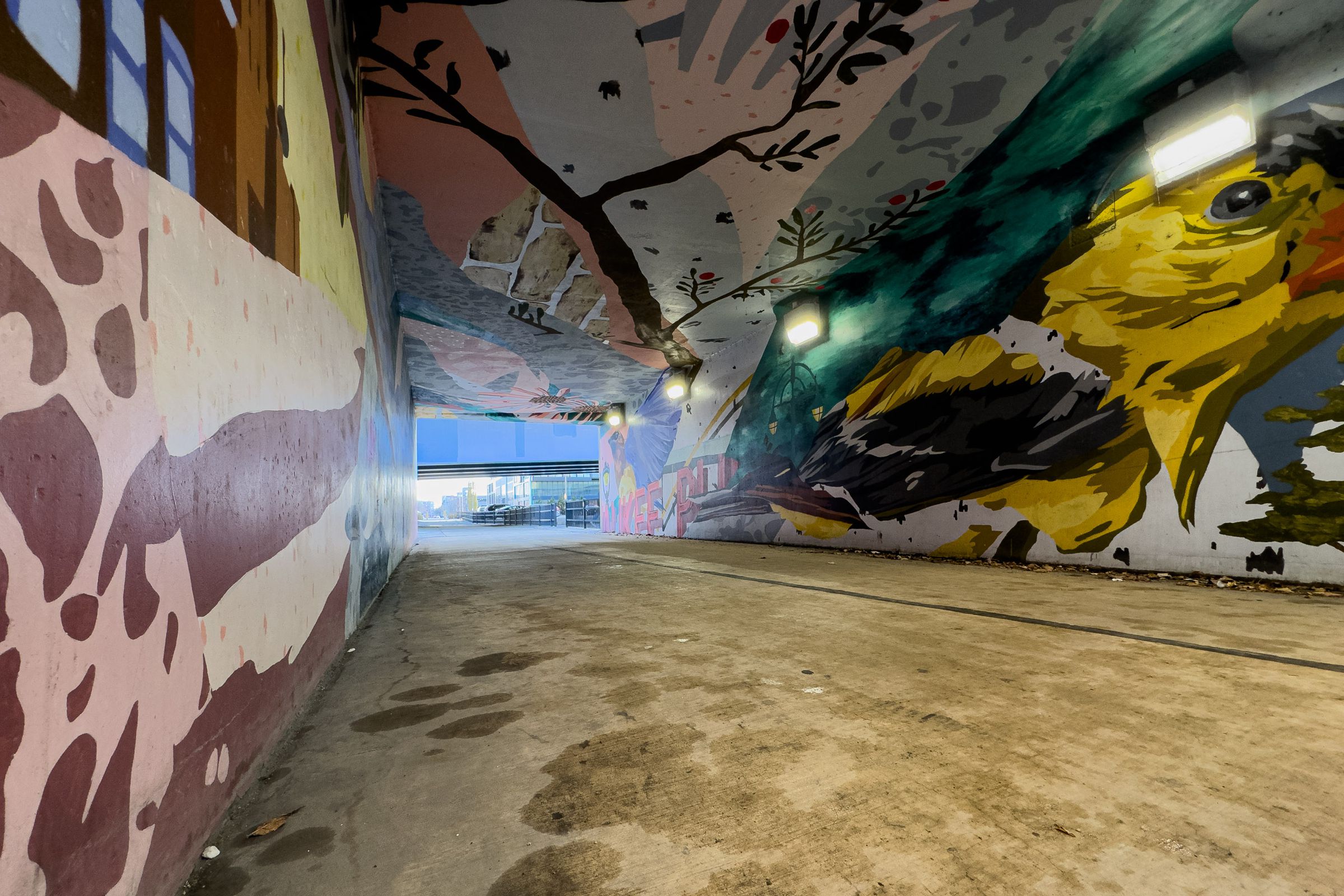 Another picture, from a different, off-center and lower angle, of the cut-through beneath the highway. This time, you can see a bird on one of the walls.