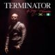 King Promise – Terminator (Remix) Ft. Sean Paul & Tiwa Savage (MP3 DOWNLOAD) — NaijaTunez