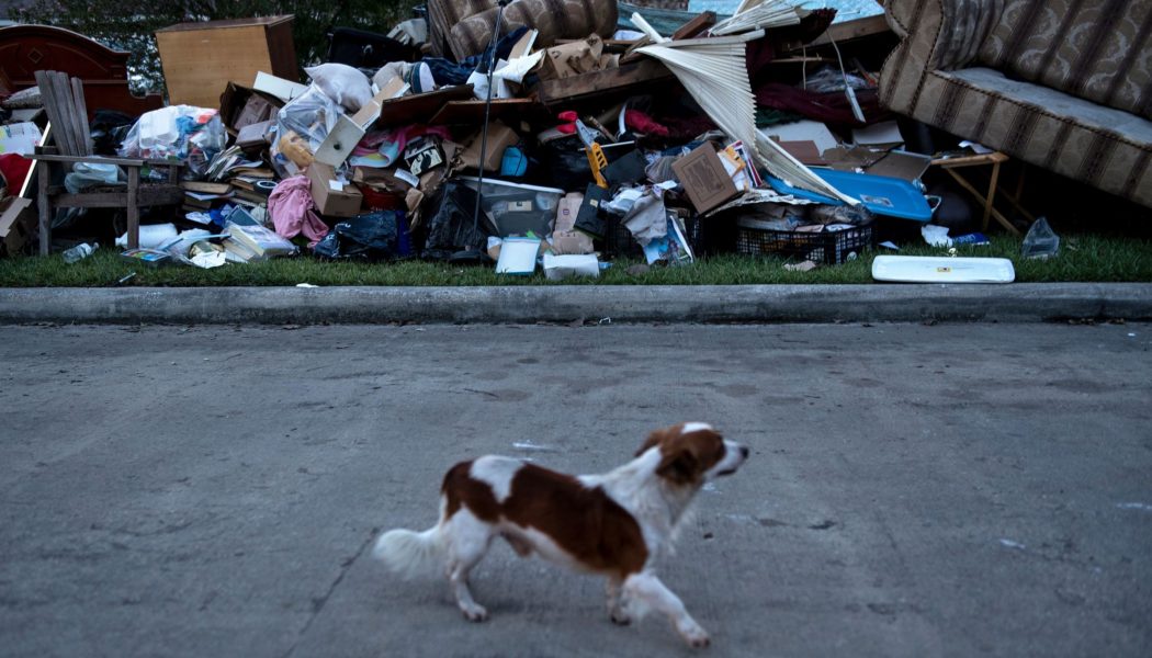 Look closely, and you’ll find America’s ‘climate abandonment areas’