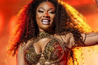 Megan Thee Stallion Signs Distribution Deal With Warner, Remains an Independent Artist