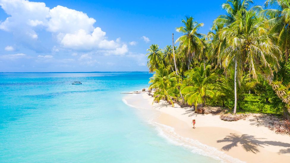 A new portal is enabling visitors to explore Panama's lush rainforests and palm-fringed islands more meaningfully (Credit: Andrea Comi/Getty Images)