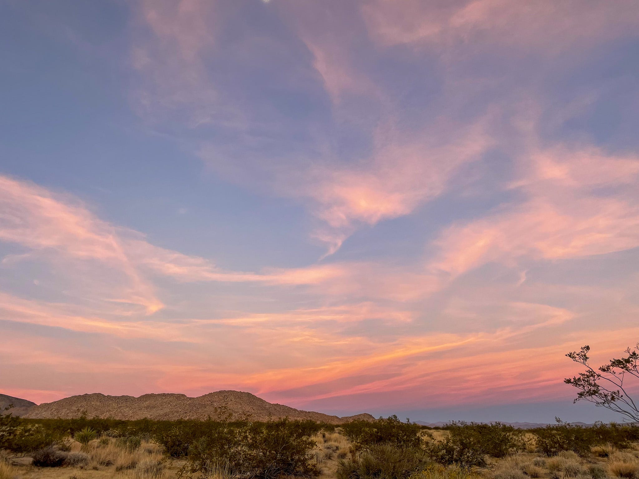 Sunrise in Joshua Tree, California.