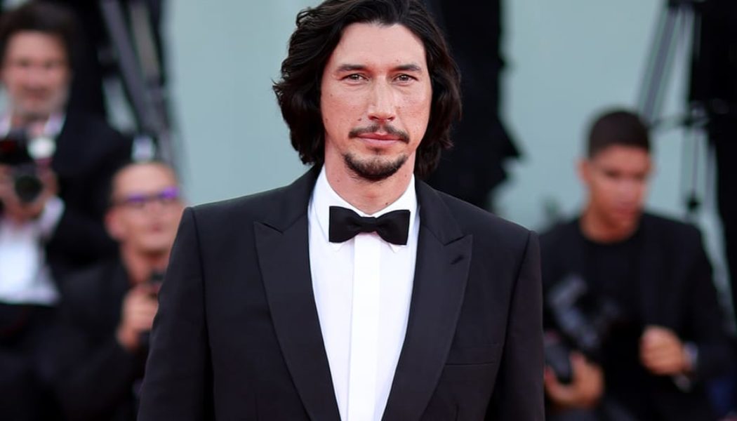 Adam Driver Won't Be Appearing in Future 'Star Wars' Films