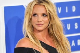 Britney Spears Shuts Down Rumors of New Album, Vows To "Never Return to the Music Industry"