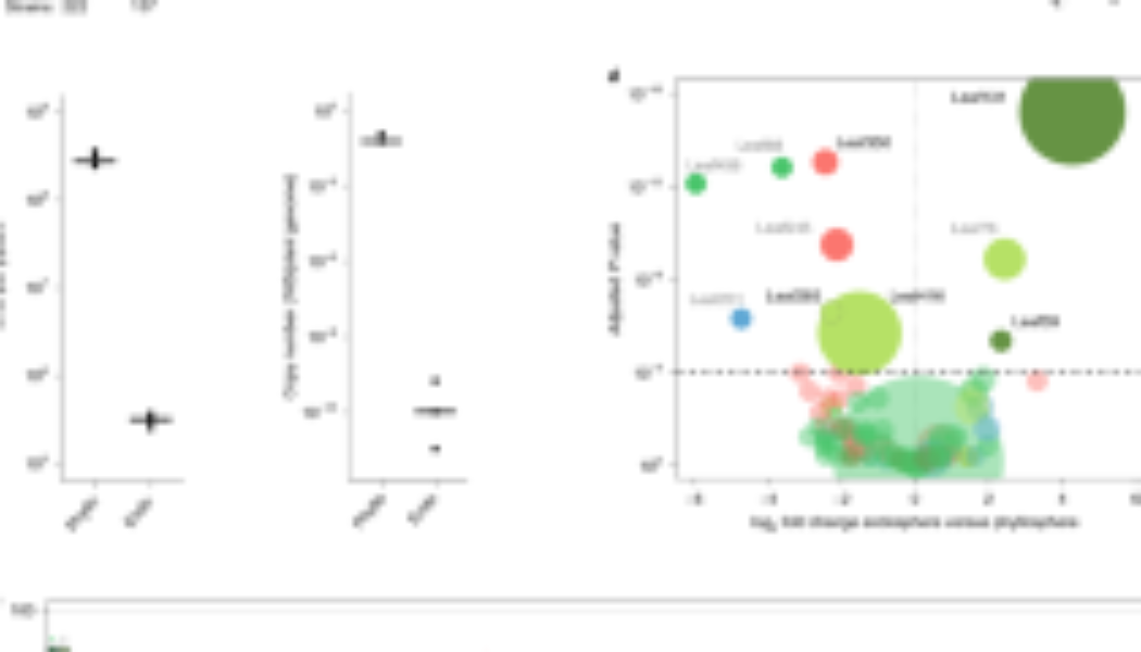 Commensal lifestyle regulated by a negative feedback loop between Arabidopsis ROS and the bacterial T2SS - Nature Communications