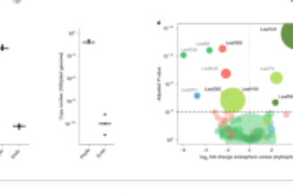 Commensal lifestyle regulated by a negative feedback loop between Arabidopsis ROS and the bacterial T2SS - Nature Communications