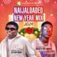 DJ PlentySongz x Hype Snopkizy - Naijaloaded 2024 New Year Party Mix