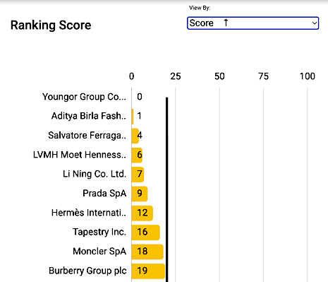 Luxury houses Ferragmo, LVMH, Prada, Burberry and others are ranked as the lowest for forced labor efforts in fashion. Image credit: BHRRC