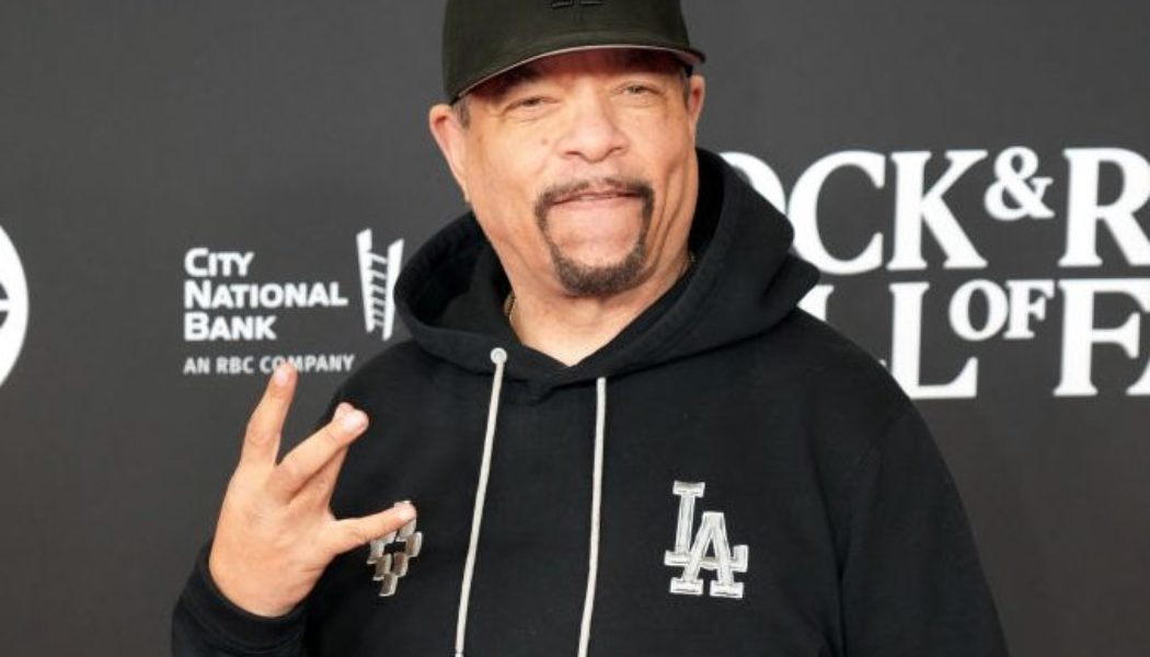 Ice-T Drops Theory About 'Def Jam Vendetta' Remake's Absence