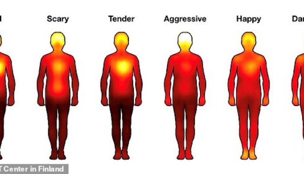 Incredible maps reveal where in the body types of MUSIC are felt