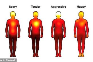 Incredible maps reveal where in the body types of MUSIC are felt