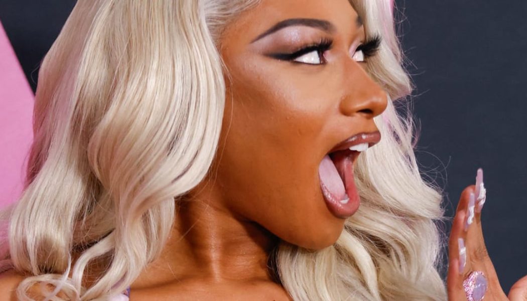 Megan Thee Stallion Unofficially Confirms 'Hot Girl Summer' 2024 Tour