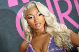 Megan Thee Stallion's Mom's Grave Site Asks For More Security