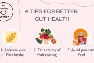 Pillars of a Healthy Lifestyle: Impact on Gut Health