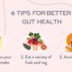 Pillars of a Healthy Lifestyle: Impact on Gut Health