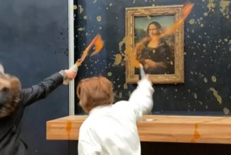 Protestors Throw Soup at Mona Lisa Painting in the Louvre