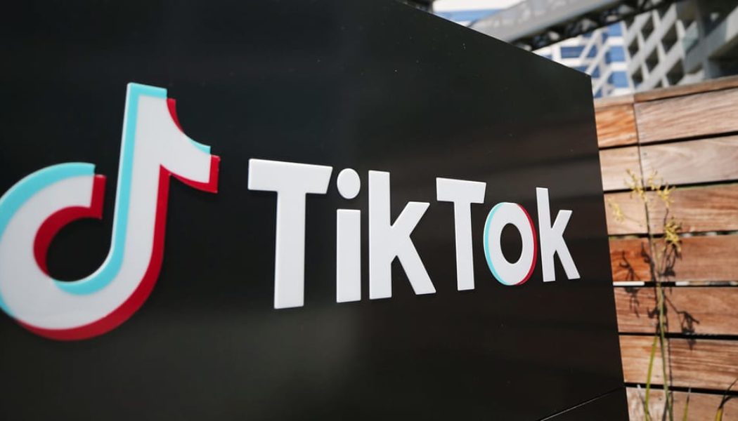 TikTok Is Reportedly Enlisting LVMH To Help Combat Fake Goods Sold in Its App