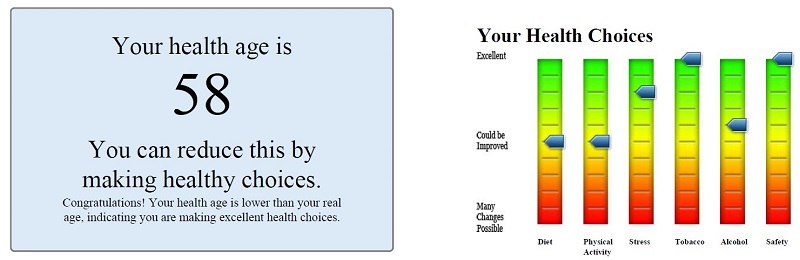 Chart that shows a sample health age and different factors that affect it - Diet, Stress, safety, etc.