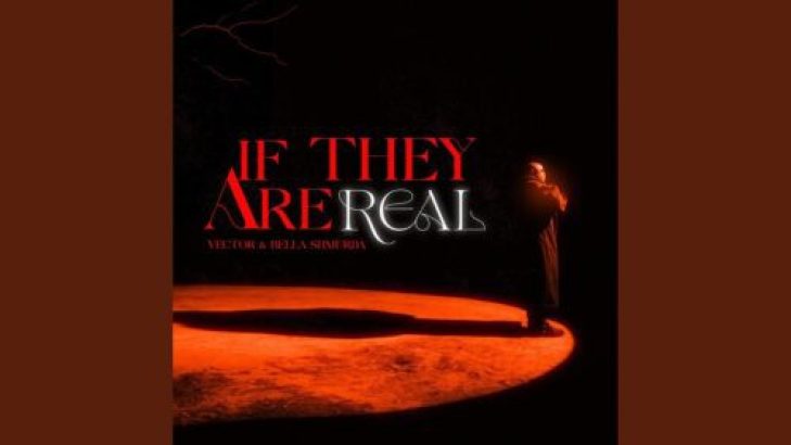 Vector ft Bella Shmurda - If They Are Real