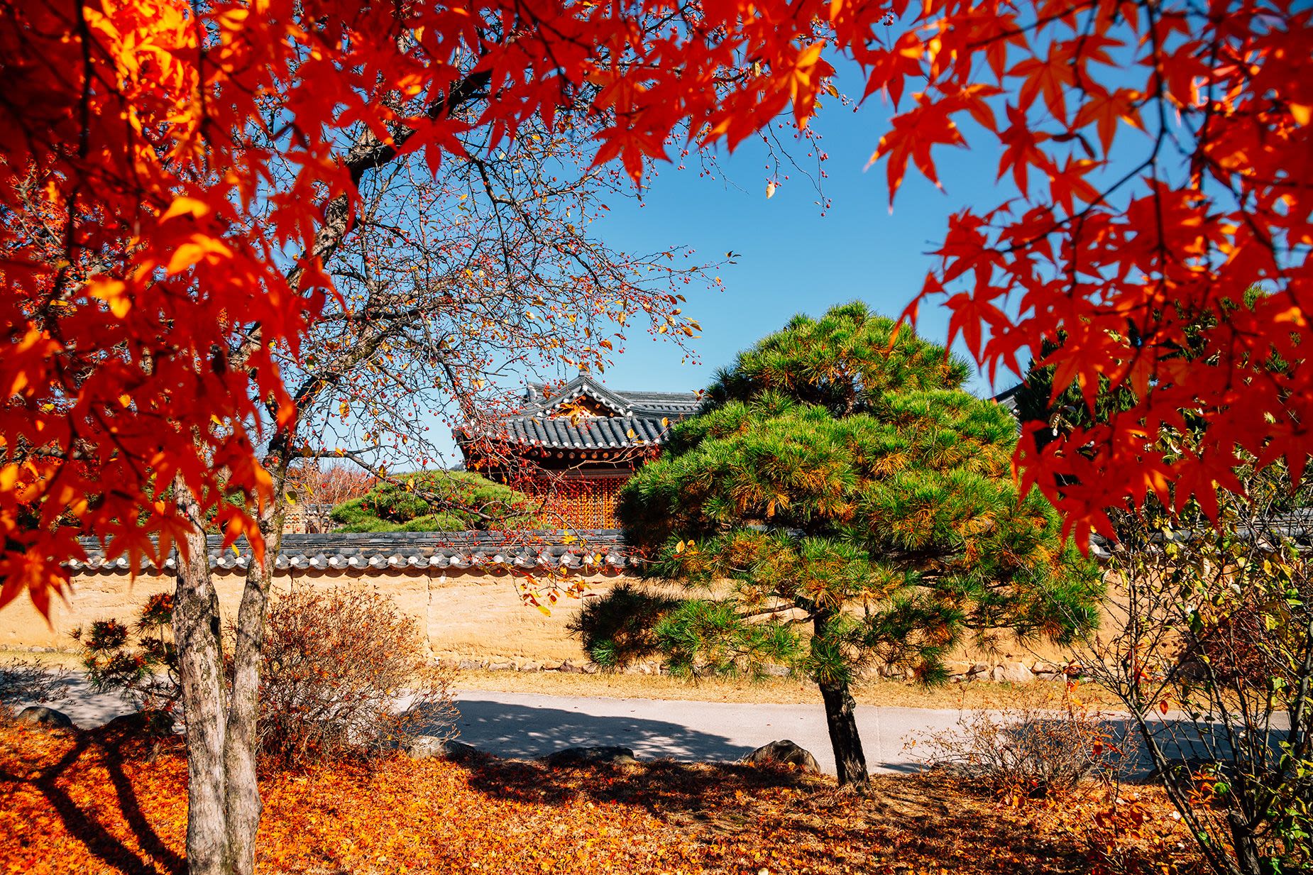 Andong Hahoe Folk Village at autumn in Andong, Korea