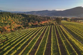 Willamette Valley named among the top travel spots in the US by Forbes