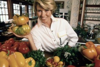 Consumer culture’s queen Martha Stewart walked so a generation of lifestyle influencers could run | CNN Business