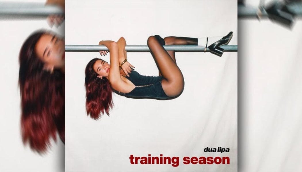 Dua Lipa Is a Different Woman in New Single "Training Season"