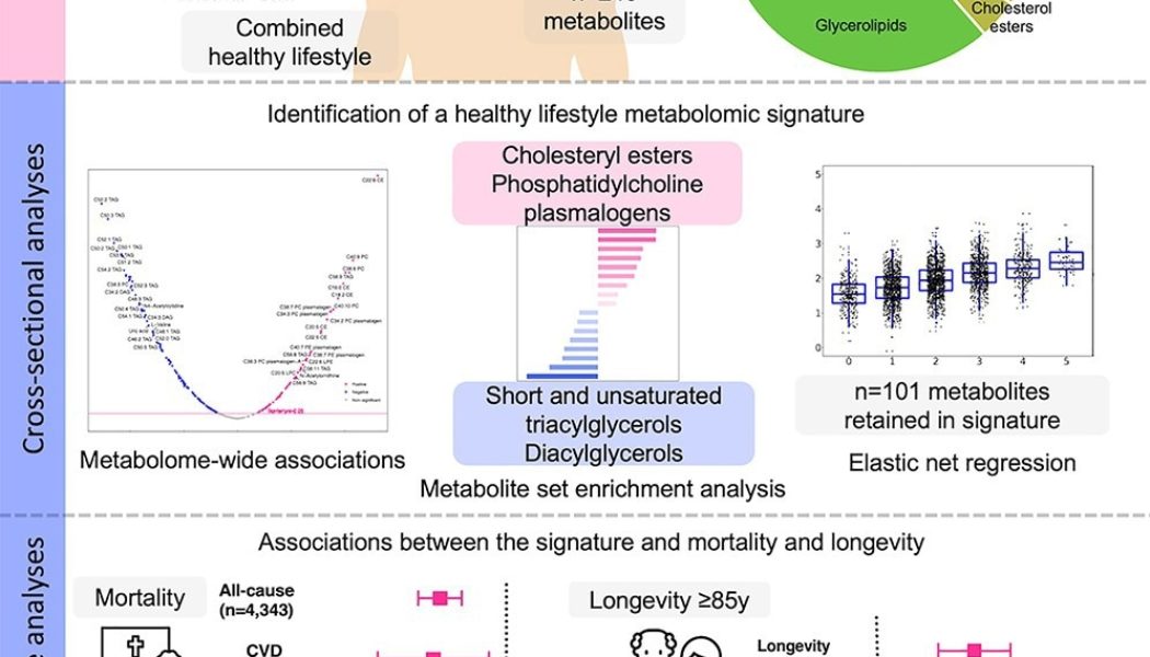 Healthy lifestyles linked to specific metabolic markers, large study finds