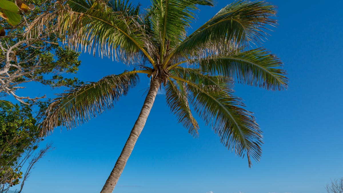 A beach in Key West