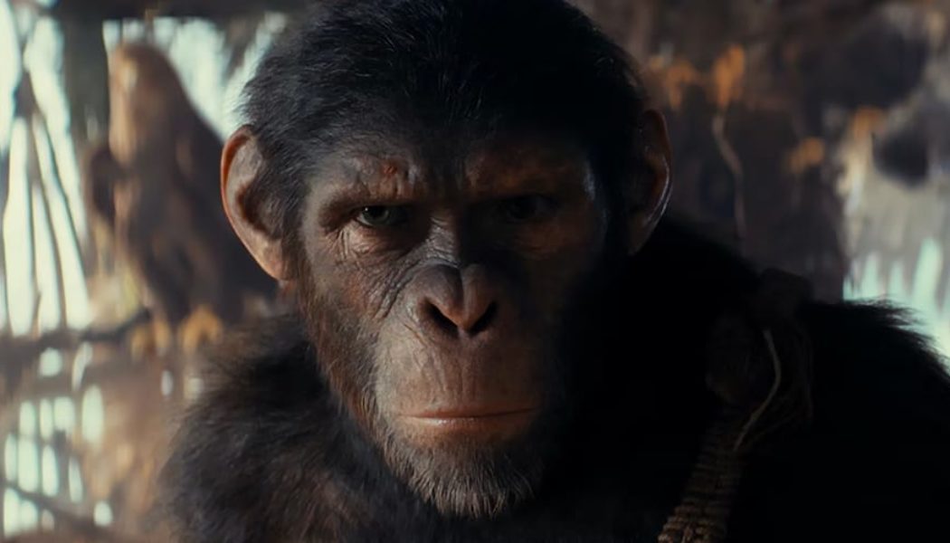 'Kingdom of the Planet of the Apes' Official Trailer Shows a Tyrannical Proximus