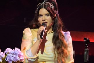 Lana Del Rey Is Coming Out With a Country Album 'Lasso'