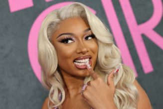 Megan Thee Stallion Lands Warner Music Group Agreement, Retains Masters and Publishing Rights