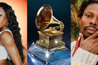 Rating the chances of Grammys Best African Music Performance nominees | Notjustok