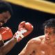 Sylvester Stallone pays tribute to Rocky co-star Carl Weathers: "Apollo, keep punching!"