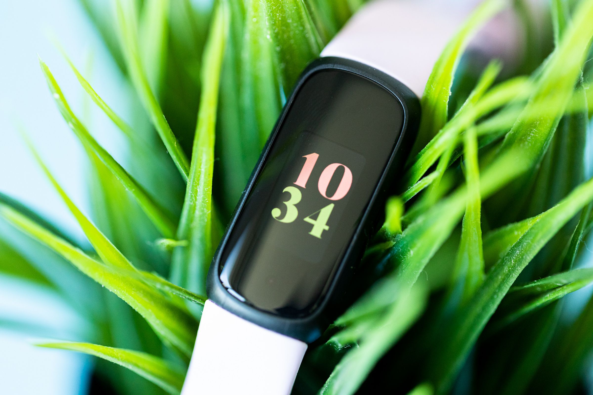 Close up of Fitbit Inspire 3 screen. The Fitbit is resting on a vibrant green plant.