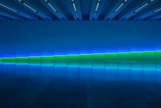 Dan Flavin Lights up the Kunstmuseum Basel