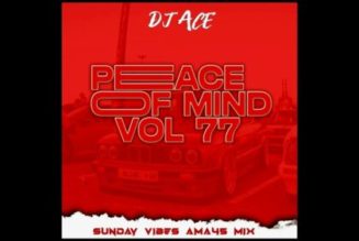 DJ Ace – Slow Jam Mix 2024 Peace Of Mind Vol 77 Sunday Vibes