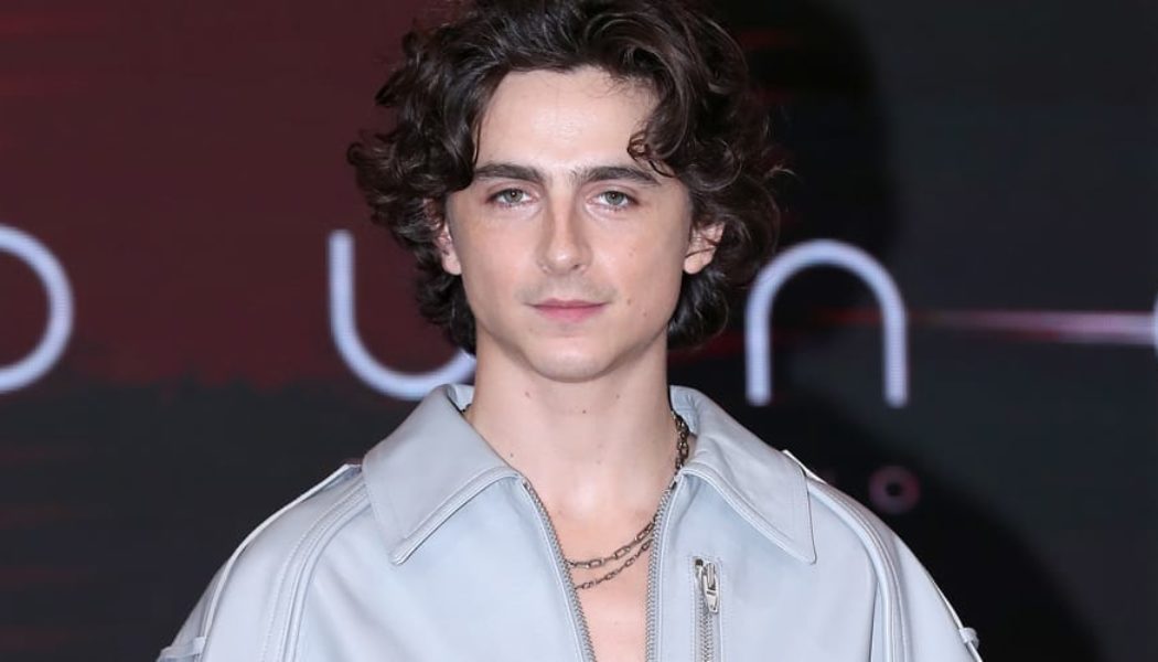 First Look At Timothée Chalamet as Bob Dylan Has Surfaced