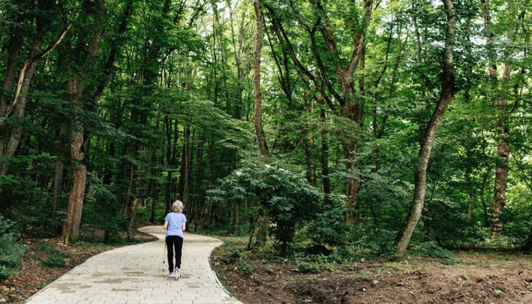 How a sedentary lifestyle affects cholesterol, especially in older age