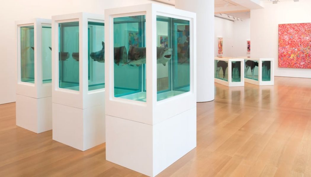 New Investigation States Damien Hirst Has Been Misdating His Formaldehyde Animal Sculptures