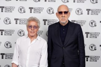 Pete Townshend: Fans wanting to see The Who live should "wait for the avatar show"