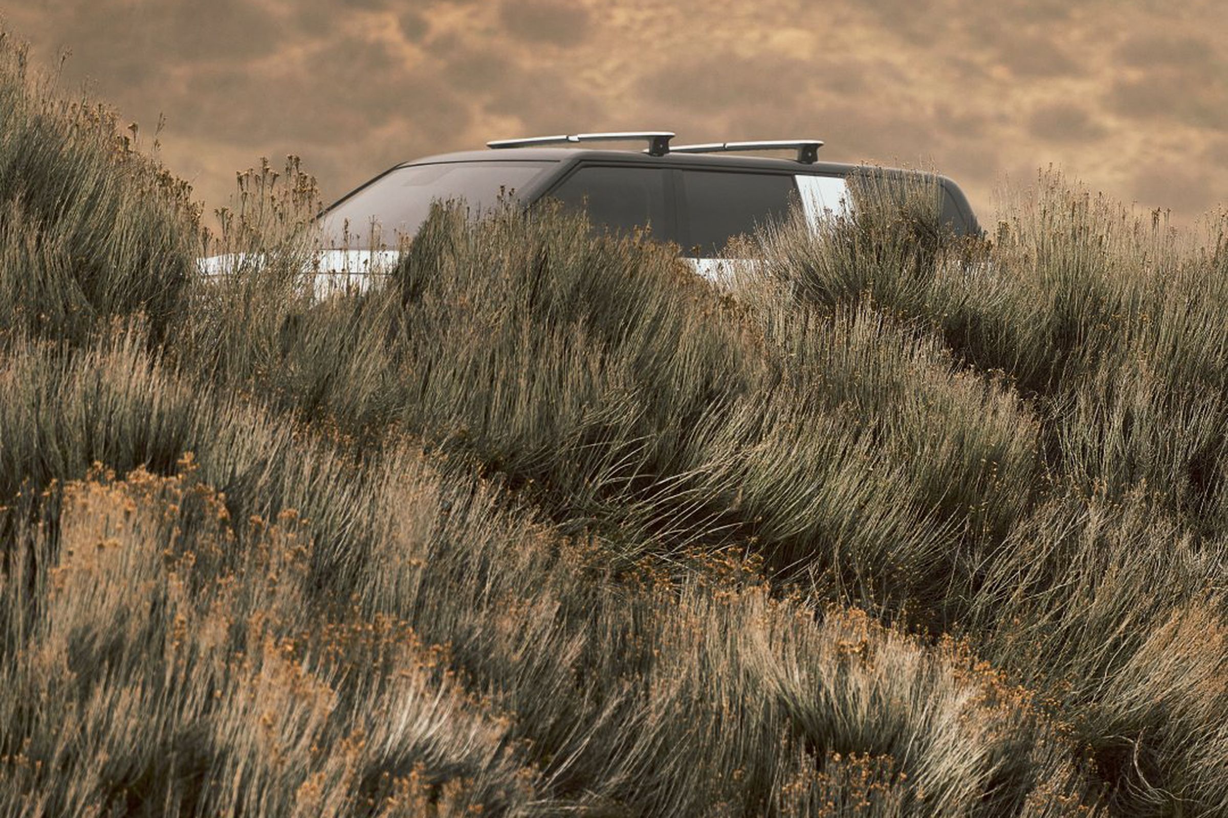 Rivian R2 hidden in grass