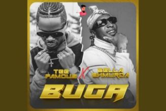 TeeFamous – Buga (Remix) ft Bella Shmurda