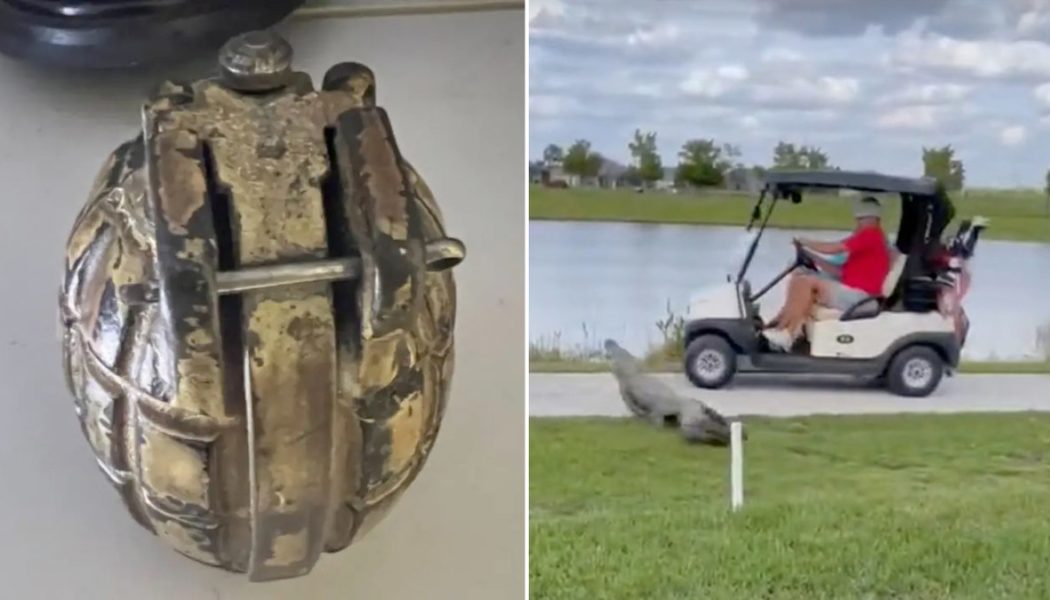 Weekend read: Gator charges at Florida couple in frightening video, plus Lifestyle headlines to catch up on