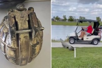 Weekend read: Gator charges at Florida couple in frightening video, plus Lifestyle headlines to catch up on