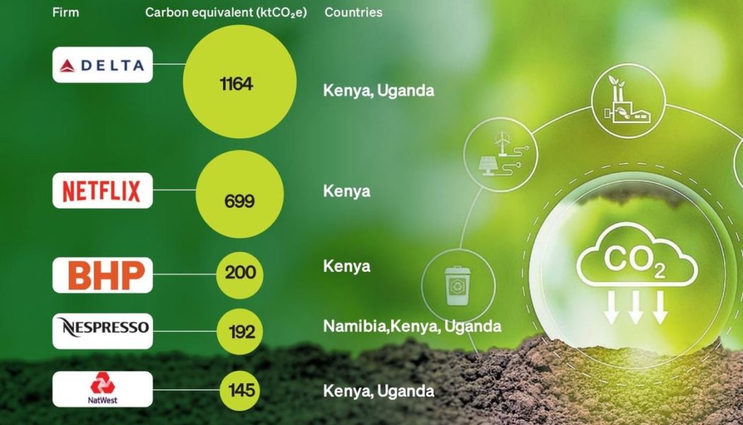 Big firms buying Kenya’s carbon credits revealed