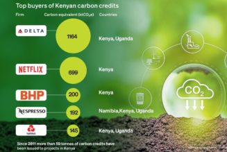 Big firms buying Kenya’s carbon credits revealed