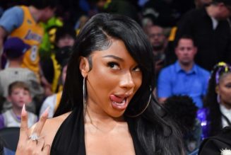 Megan Thee Stallion Denies Getting A Nose Job